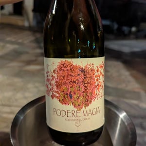 Rosato dell’Emilia Igt - Podere Magia - stefano-pescarmona