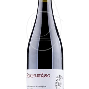 Lambrusco dell'Emilia - Angol d'Amig - Marco Lanzotti -2022