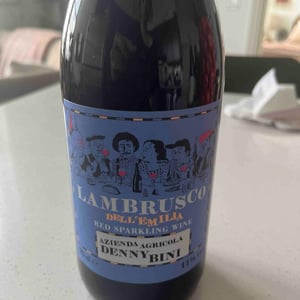 Lambrusco - Fontana dei Boschi - Vittorio Graziano 