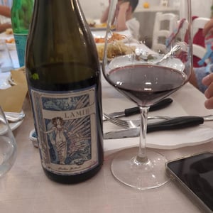 Lamie - Azienda Vitivinicola Cristiano Guttarolo - Cristiano Guttarolo -2023