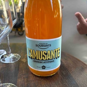 L'amusante - Domaine Les Souriants - Maxime Troncy & Damien Polosse 