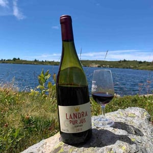 Landra Pur Jus (Rouge) - Château Landra - Cécile & Frédéric Renoux 
