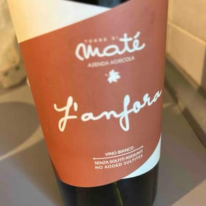 L'Anfora - Terre di Maté - stefania-carrea