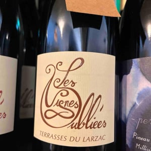 Languedoc - Les Vignes Oubliées - jean-baptiste-granier