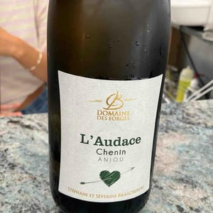L’Audace - Domaine des Forges - stephane-et-severine-branchereau -2025