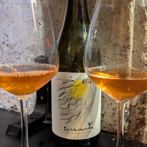 Lavigna - Cantina Terracanta di Società Agricola Ceglia - Lucia Vasciminno, Carlo Giudicepietro 