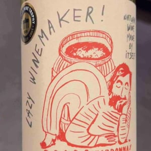 Lazy Winemaker Viognier - Viña Echeverría - Quasar Wines - roberto-viviana-paulina-diego-echeverria -2022
