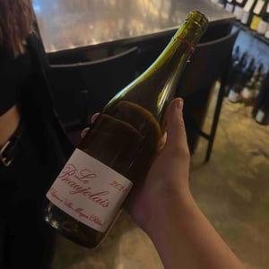 Le Beaujolais - Domaine Marcel Lapierre - mathieu-camille-lapierre -2021