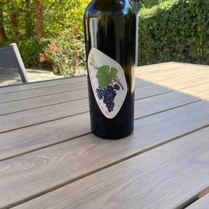 Le cabernet franc - Les Cailloux du Paradis - Claude & Etienne Courtois -2019