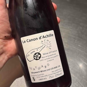 Le Canon D'Achille - La Vrille et le Papillon - Géraldine & Méryl Croizier 
