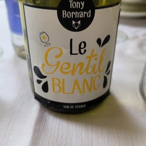 Le Chardo Gai - Domaine Bornard - Tony Bornard 