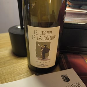 Le Chenin De La Colline - Domaine de la Garreliére - pascale-francois-plouzeau