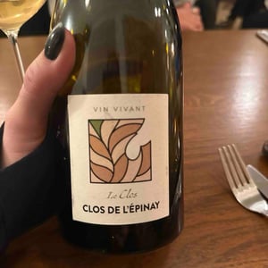 Le Clos - Domaine Clos de l’Epinay - antoine-labrosse-et-henri-bruneau