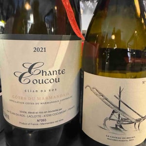 Le Coteau de Bruno - Clos du Rouge Gorge - cyril-fhal -2021