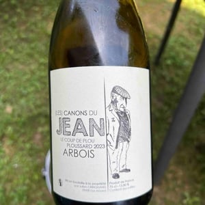 Le Coup de Plou - Les Canons du Jean - Julien Crinquand -2020