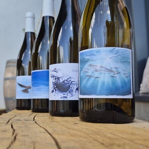 Le Crapaudeau - Domaine Passe Pont - david-landron