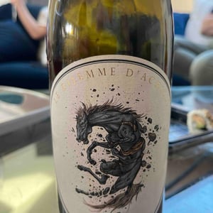 Le Dilemme D’Achille - Domaine Santamaria - Jean-Louis & Thomas Santamaria -2021