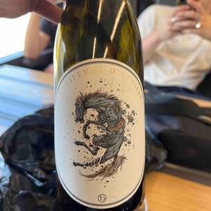 Le Dilemme D’Achille - Domaine Santamaria - jean-louis-thomas-santamaria -2021