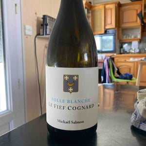 Le Fief Cognard - Domaine Lucas-Salmon - mickael-salmon -2024