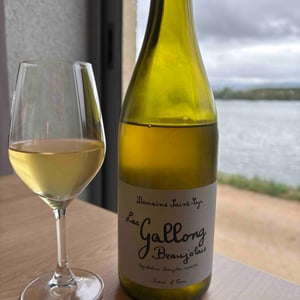 Le Gallong - Domaine Saint-Cyr - raphael-saint-cyr -2022