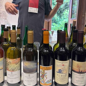 Le Mat Du Raisin - Cascina degli Ulivi - Ilaria Bellotti -2019