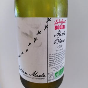 Le Merle Blanc - Julien Merle - Julien Merle