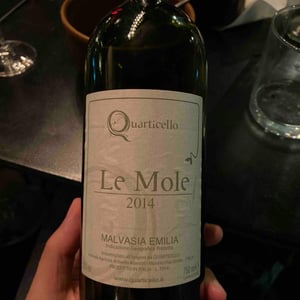 Le Mole - Il Quarticello - roberto-maestri