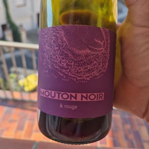 Le mouton noir - Mas du Mouton Noir - Cédric Mouton -2020