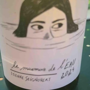 Le Murmure de l'Eau - Domaine Etienne Seignovert - Etienne Seignovert 