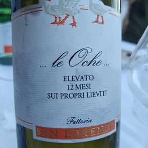 Le Oche - Fattoria San Lorenzo - natalino-crognaletti