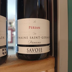 Le Persan du Princens - Domaine Saint Germain - Raphael Saint-Germain -2021