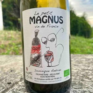 Le Petit Magnus - Haut-Campagnau - dominique-andiran -2021