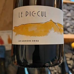 Le Pic-Cul - Domaine de La Bruge - Les Agrions - Mathieu & Quentin ROBERT 