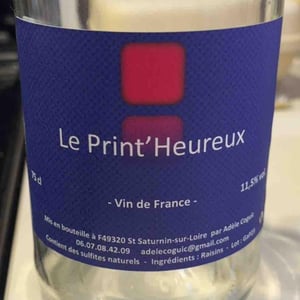 Le Print’ Heureux - Adèle coguic - adele-coguic
