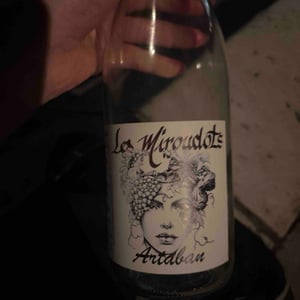 Le Résistant - Les Miroudots - Nicolas Bernard 