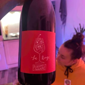 Le Rouge - Domaine Plaisance - Penavayre - louis-marc-et-thibaut-penavayre