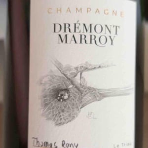 Le Triau - Drémont Marroy - melanie-jean-remi-dremont
