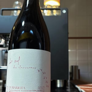 Le vol des étourneaux - La Mariota - cecilia-diaz-guillermo-campos-baeza -2021