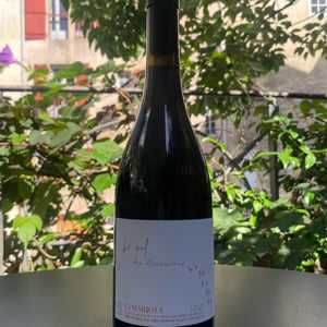 Le vol des étourneaux - La Mariota - cecilia-diaz-guillermo-campos-baeza -2021