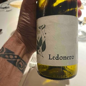 Ledonero - Barranco Oscuro - Manuel & Lorenzo Valenzuela 