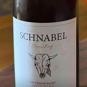 Legionar - Weingut Karl Schnabel - Karl & Eva Schnabel -2021