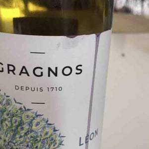 Léon - Château de Gragnos - alain-et-patricia-limauge -2021