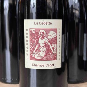 L'Ermitage - Domaine de La Soeur Cadette - jean-valentin-montanet