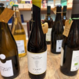 L'erta - Marchionni - Paolo e Lorenzo Marchionni -2020