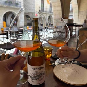 Les Alifares - Celler Frisach - Joan & Francesc Ferré 