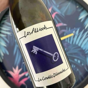 Les Allicots - La Cordée Blanche - Cyril Andrez & Ylan Mathieu -2023