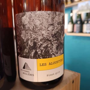 LES ALOUETTES - Les Pierres Meslières - Frédéric Monnier -2023