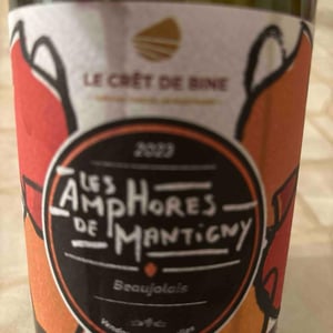 Les amphores de Mantigny - Le Crêt de bine - famile-subrin-scea -2023