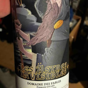 Les Astres Invisibles - Domaine des Fables - François Gilles 