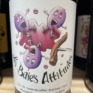 Les Baies Attitudes - Domaine Balbuzard - yohann-moreaux